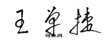 駱恆光王單捷草書個性簽名怎么寫