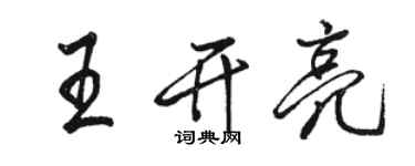 駱恆光王開亮行書個性簽名怎么寫