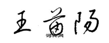 梁錦英王苗陽草書個性簽名怎么寫