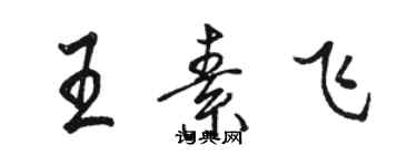 駱恆光王素飛行書個性簽名怎么寫