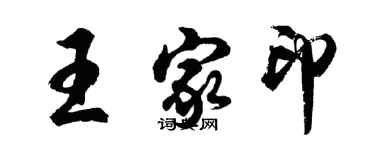 胡問遂王家印行書個性簽名怎么寫