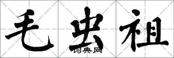 翁闓運毛蟲祖楷書怎么寫