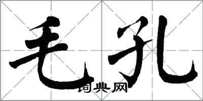 翁闓運毛孔楷書怎么寫