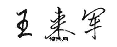 駱恆光王來軍行書個性簽名怎么寫