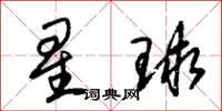 朱錫榮星球草書怎么寫
