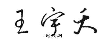 駱恆光王宇夭草書個性簽名怎么寫