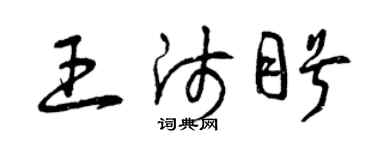 曾慶福王師盼草書個性簽名怎么寫