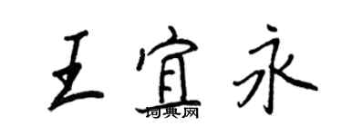 王正良王宜永行書個性簽名怎么寫