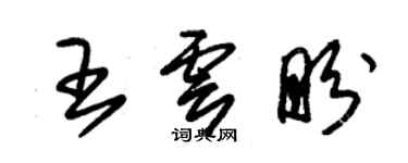 朱錫榮王雲盼草書個性簽名怎么寫