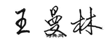 駱恆光王曼林行書個性簽名怎么寫