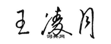 駱恆光王凌月草書個性簽名怎么寫