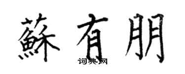 何伯昌蘇有朋楷書個性簽名怎么寫