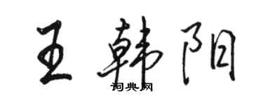 駱恆光王韓陽行書個性簽名怎么寫