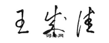 駱恆光王成佳草書個性簽名怎么寫