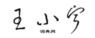 駱恆光王小寧草書個性簽名怎么寫