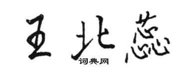 駱恆光王北蕊行書個性簽名怎么寫