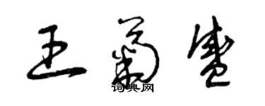 曾慶福王菊盛草書個性簽名怎么寫