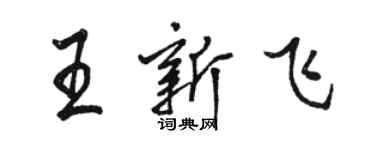 駱恆光王新飛行書個性簽名怎么寫