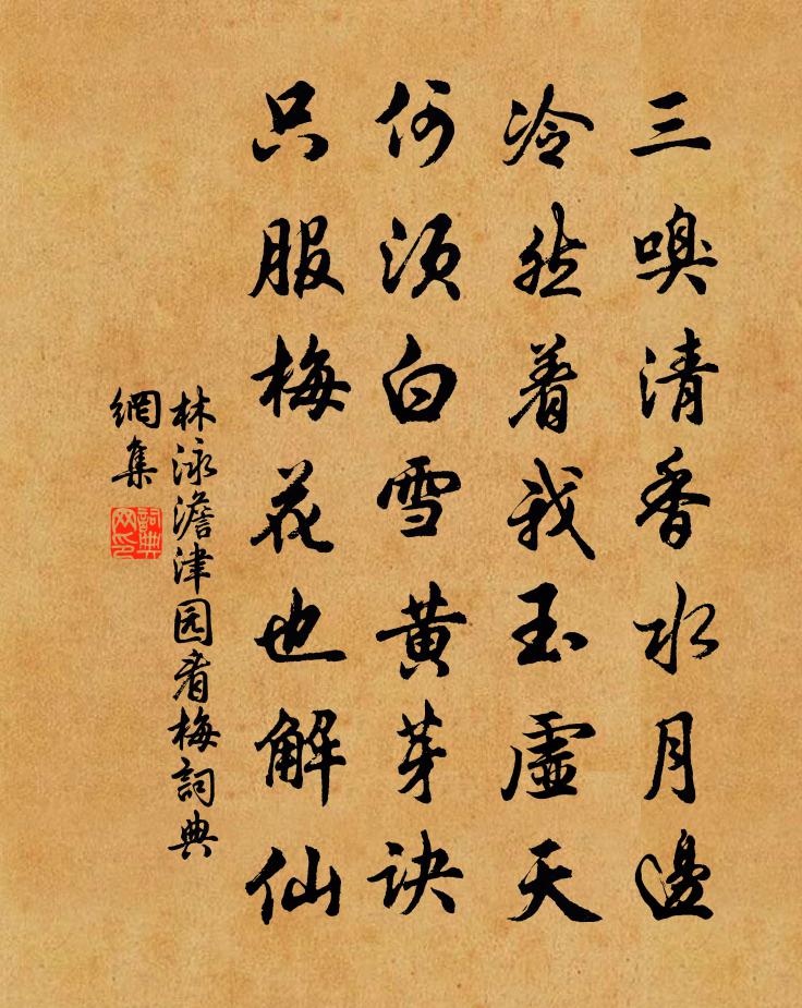 林泳澹津園看梅書法作品欣賞