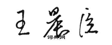 駱恆光王晨臣草書個性簽名怎么寫