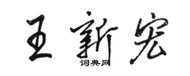 駱恆光王新宏行書個性簽名怎么寫