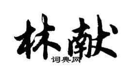 胡問遂林獻行書個性簽名怎么寫