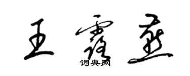 梁錦英王露燕草書個性簽名怎么寫