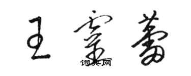 駱恆光王靈蕾草書個性簽名怎么寫