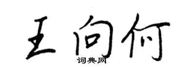 王正良王向何行書個性簽名怎么寫