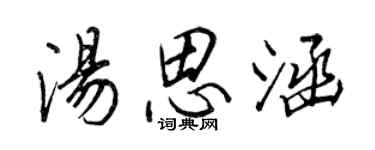 王正良湯思涵行書個性簽名怎么寫