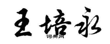 胡問遂王培永行書個性簽名怎么寫