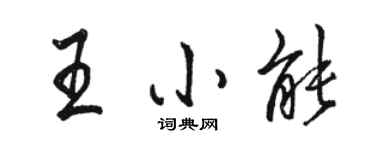 駱恆光王小能行書個性簽名怎么寫