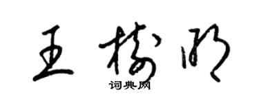 梁錦英王樹明草書個性簽名怎么寫