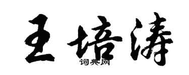 胡問遂王培濤行書個性簽名怎么寫