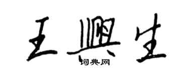 王正良王興生行書個性簽名怎么寫