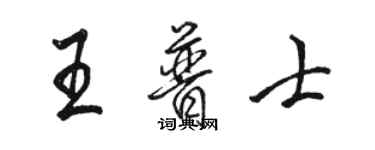 駱恆光王普士行書個性簽名怎么寫