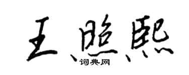 王正良王照熙行書個性簽名怎么寫