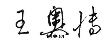 駱恆光王奧博草書個性簽名怎么寫