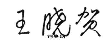 駱恆光王曉賀草書個性簽名怎么寫