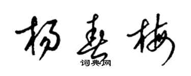 梁錦英楊春梅草書個性簽名怎么寫