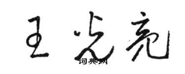 駱恆光王光亮草書個性簽名怎么寫