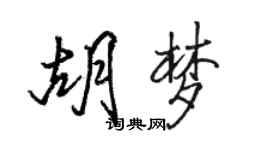 駱恆光胡夢行書個性簽名怎么寫