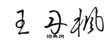 駱恆光王丹楓草書個性簽名怎么寫