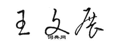 駱恆光王文展草書個性簽名怎么寫