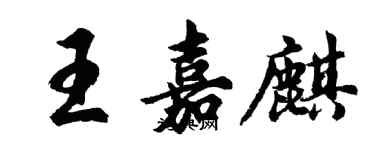 胡問遂王嘉麒行書個性簽名怎么寫