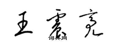 梁錦英王震亮草書個性簽名怎么寫