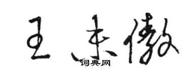 駱恆光王未傲草書個性簽名怎么寫