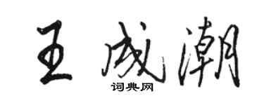 駱恆光王成潮行書個性簽名怎么寫