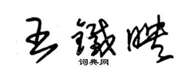 朱錫榮王鐵映草書個性簽名怎么寫