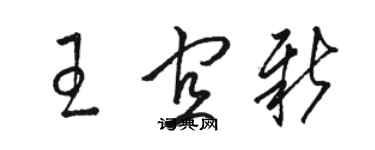 駱恆光王宜新草書個性簽名怎么寫